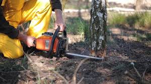 Lawn Grading and Leveling in Newark, NY