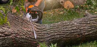 Soil Testing and Treatment in Newark, NY